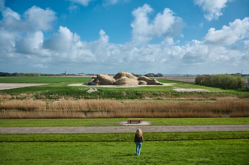 Een snelle blik: wat je hier leest